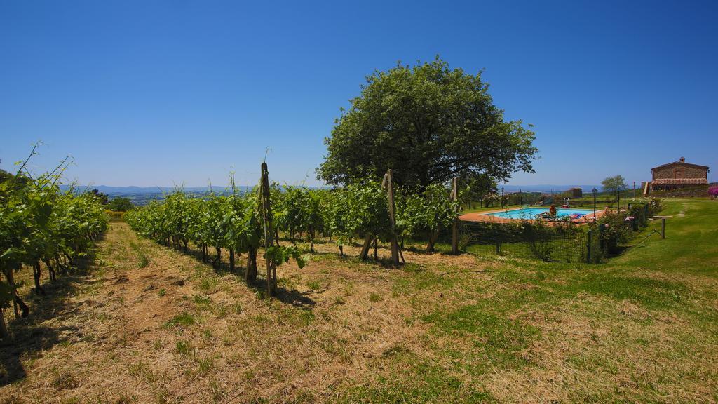 Tenuta Angelici Winery Casa Contea With Pool And Panoramic Pool Cortona Villa Terontola Rom bilde