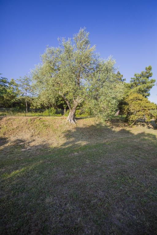 Tenuta Angelici Winery Casa Contea With Pool And Panoramic Pool Cortona Villa Terontola Rom bilde